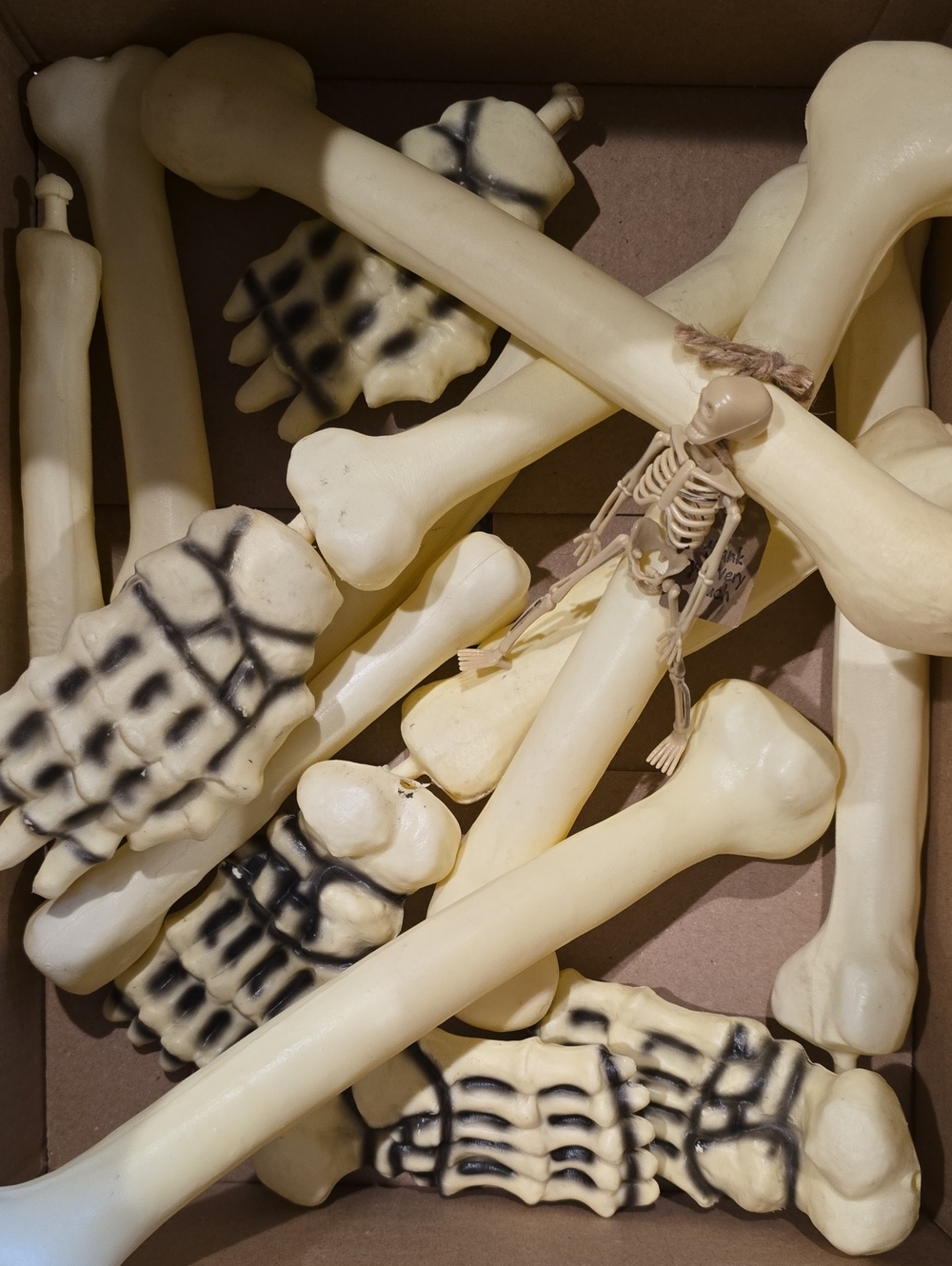 Blow Mold Skeleton Bones
